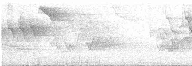 Cerulean Warbler - ML619650278