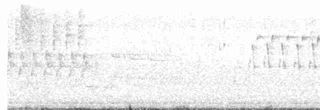 אנפית-גמדית אמריקנית - ML619650283