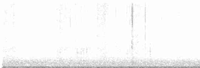 Paruline à gorge grise - ML619650458
