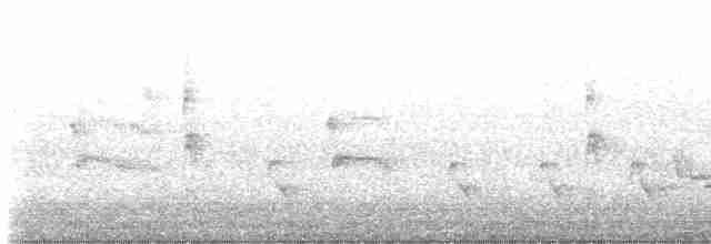 エントツアマツバメ - ML619650652