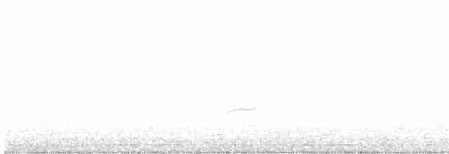 Дрізд-короткодзьоб Cвенсона - ML619650790
