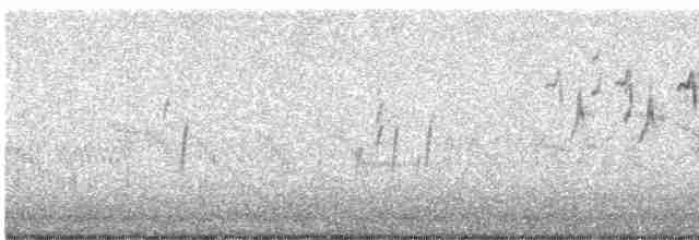 Pipit farlouse - ML619651555