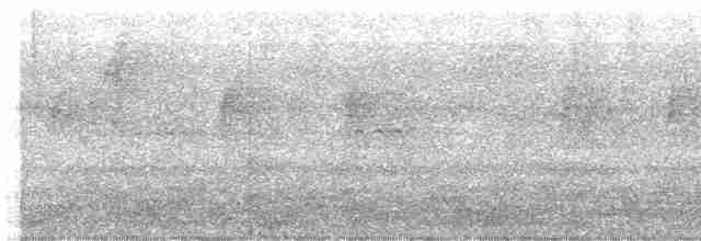 holub bledočelý - ML619652153