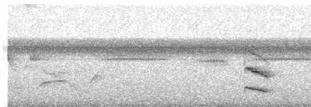 Braunkappen-Dickichtschlüpfer - ML619652306