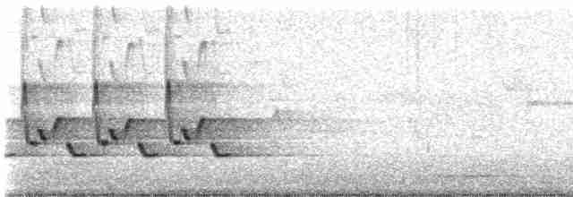 Каролинский крапивник - ML619652419