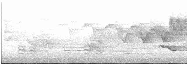 lesňáček modropláštíkový - ML619652624