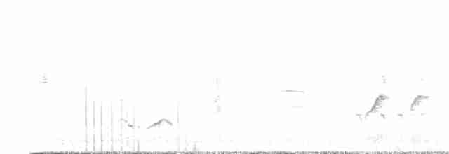 drozdec černohlavý - ML619652826
