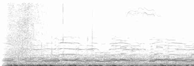 黃嘴天鵝 - ML619653197