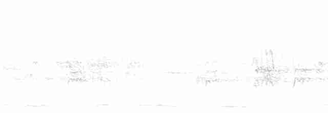 Длиннохвостый крапивник [группа mexicanus] - ML619653232