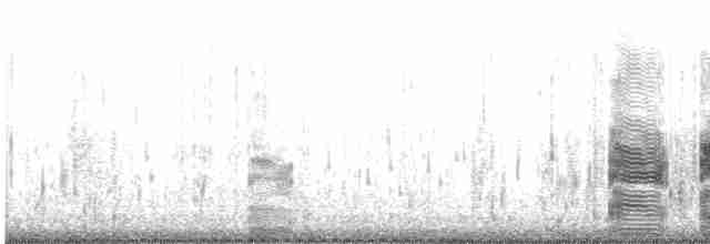 svartbrynalbatross (melanophris) - ML619653406