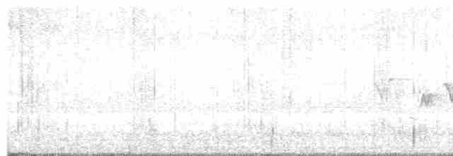 Черногорлая хвойница - ML619654025
