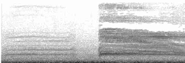 紐澳紅嘴鷗 - ML619654061