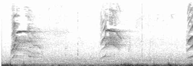 Mouette argentée - ML619654701