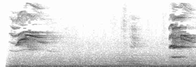 Mouette argentée - ML619654804