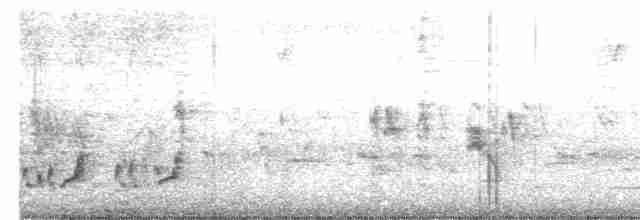 Тремблер прямодзьобий - ML619654813