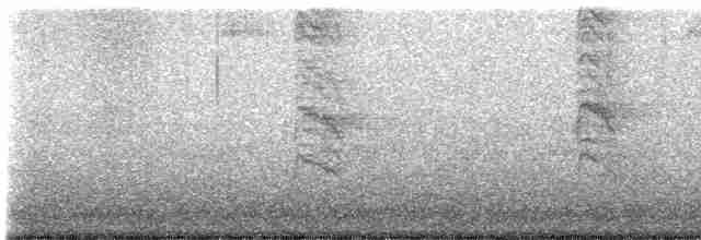 drozdec černohlavý - ML619655068