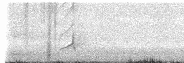 Sarı Karınlı Sinekkapan - ML619655132