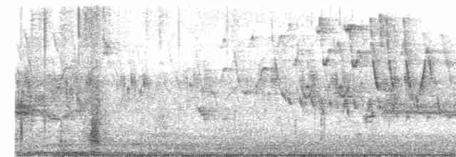 Дрізд-короткодзьоб бурий - ML619655181