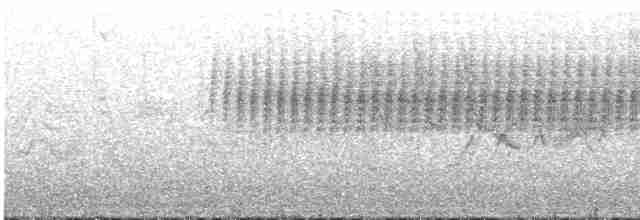 Cırcır Sesli Serçe - ML619656161