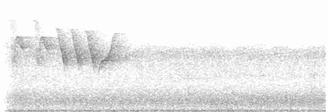 Мангровая древесница - ML619656170