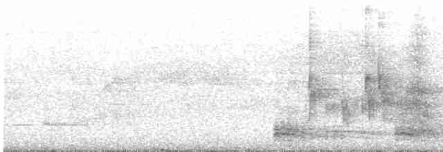 Kestane Kulaklı Arapbülbülü - ML619656957