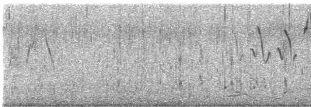 שחפית שחורת-אוזן - ML619657750