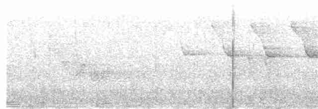 Трясогузковый певун - ML619657999