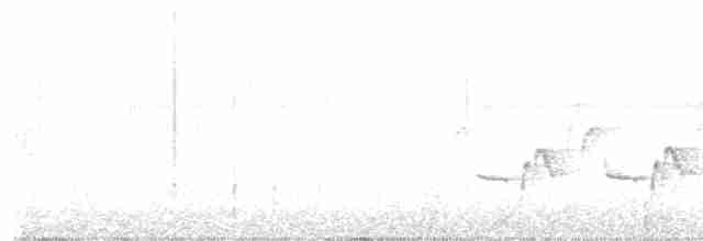 Каролинский крапивник - ML619660311