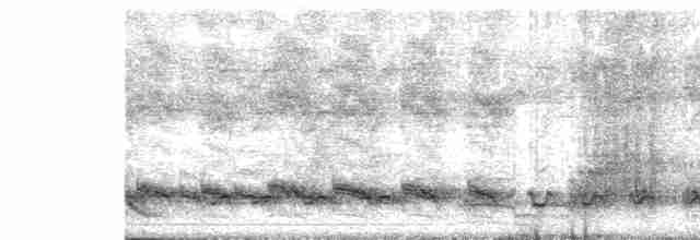 Garrulaxe à huppe blanche - ML619660663