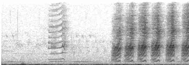 Kara Gagalı Saksağan - ML619660976