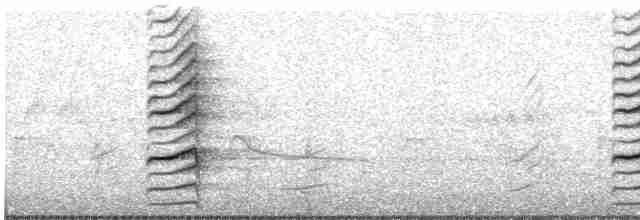 Kara Gagalı Saksağan - ML619660977