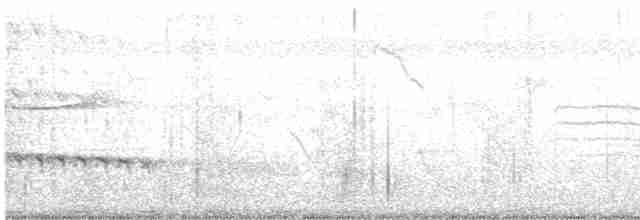 Alción de Esmirna - ML619661124