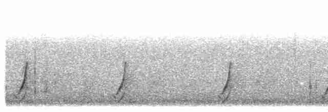 斑胸秧雞 - ML619661134