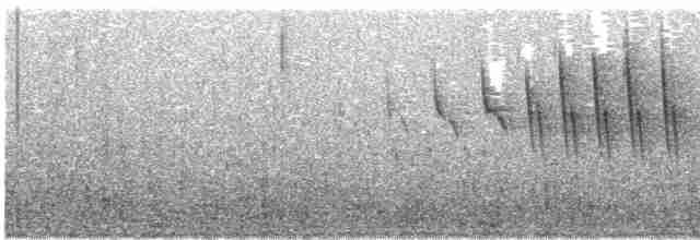 Paruline à calotte noire (chryseola) - ML619661338