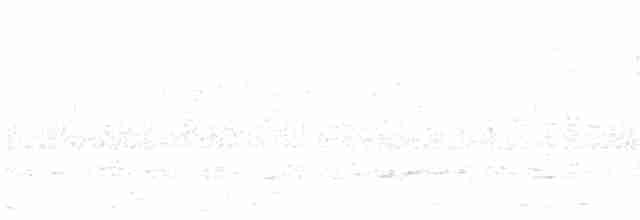 bělokur rousný [skupina lagopus] - ML619661495