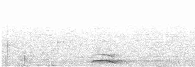 領角鴞 - ML619661851
