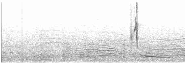White Wagtail (British) - ML619661940