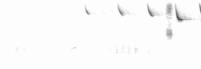 Savannah Serçesi [sandwichensis grubu] - ML619662066