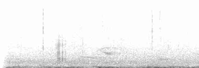 Avustralya Saksağanı [tibicen grubu] - ML619663112