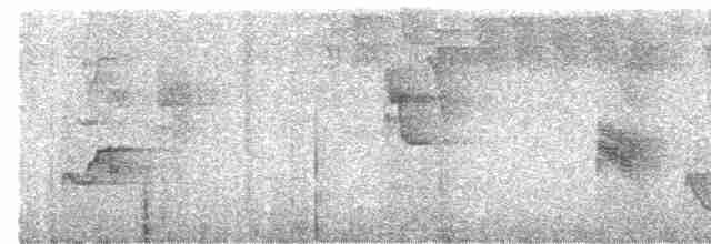 Пересмішник жовтодзьобий - ML619663512