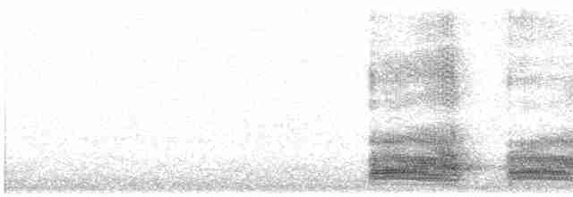 Kara Leş Kargası - ML619663562