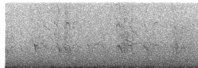 Roseate Tern - ML619663716