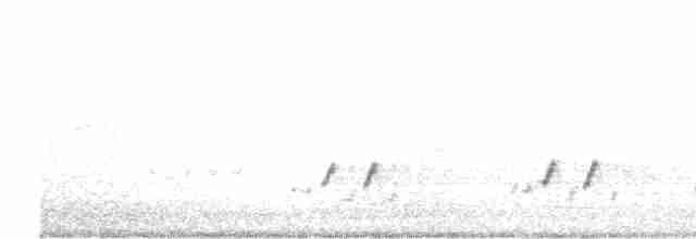 Çizgili Panterkuşu - ML619664113