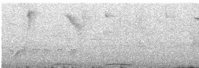 Barred Cuckoo-Dove - ML619664400