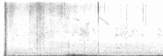 小燕鷗 - ML619664902