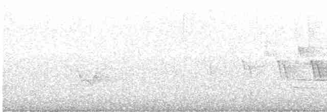 Дроздовый певун - ML619665038
