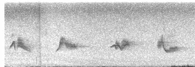 Kara Kanatlı Piranga - ML619665338