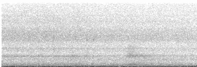 Common Gallinule - ML619665368
