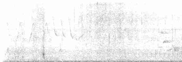 Ивовый мухолов - ML619666522