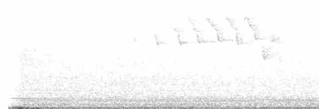 svartbrystparula - ML619666827